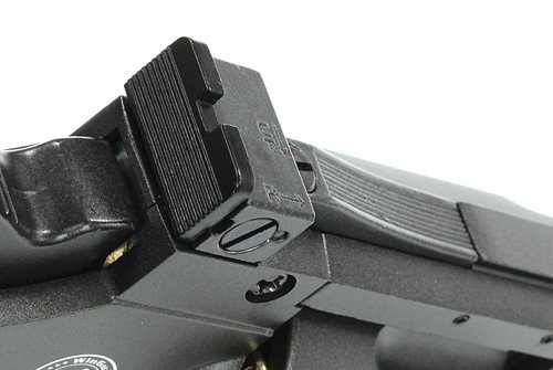 ASG CO2 Dan Wesson 8" Revolver - Gray