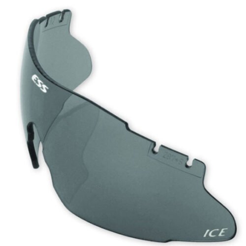 Tactical Goggles ESS ICE-2LS