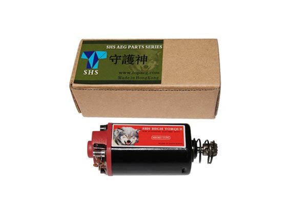 High torque motor - short
