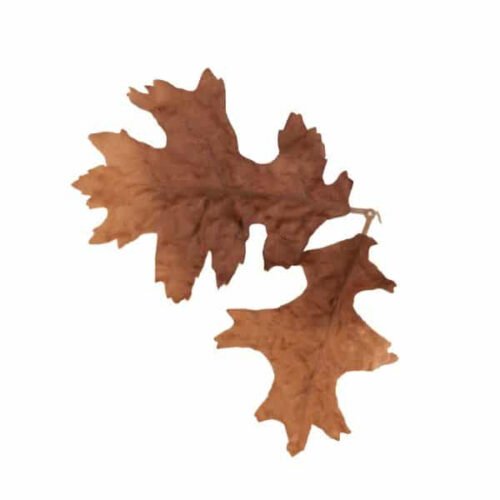 Novritsch LEAF CAMO 3D Leaves LC4, 50 pcs - Bronze