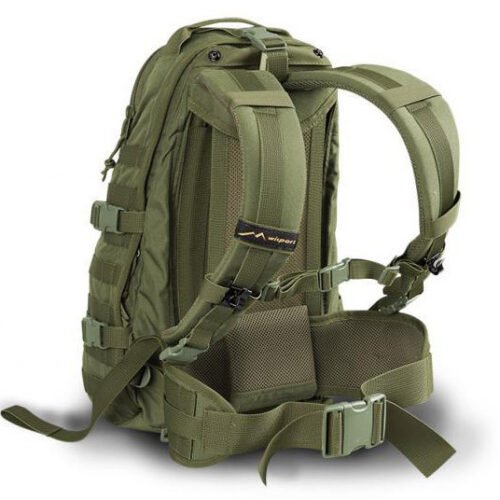 Bag Wisport(R) Caracal 22l - green