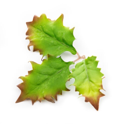 Novritsch LEAF CAMO 3D Leaves LC5, 50 pcs - Willow