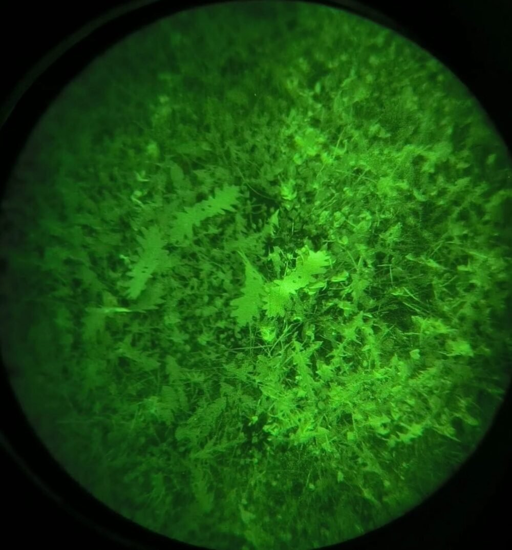 ANAREUS Pack of 3D SilkLeaf Camouflage Leaves, Large (308 Pcs) - Brown