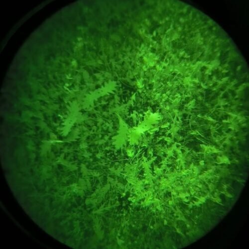 ANAREUS Pack of 3D SilkLeaf Camouflage Leaves, Large (308 Pcs) - Brown