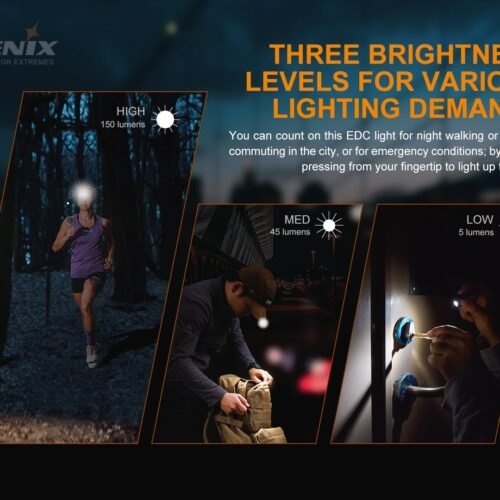 FENIX ​​​​MINI-LITE Rechargeable Flashlight - Black