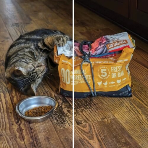 NITE IZE CamJam(TM) SlideLock(R) Adjustable Bungee Cord - Grey